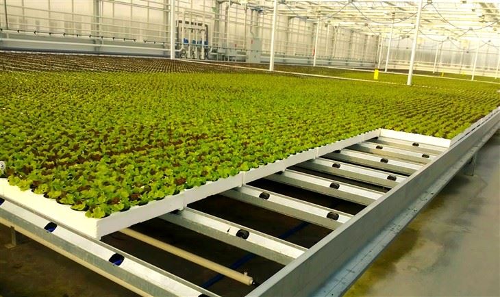 Greenhouse NFT System factory