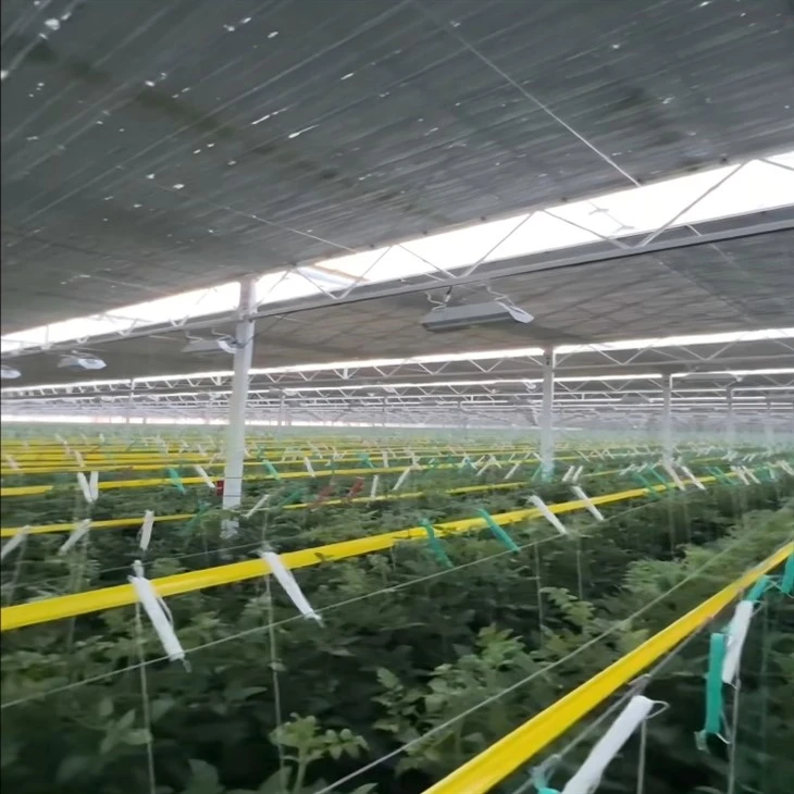 Greenhouse Shade Structure factory
