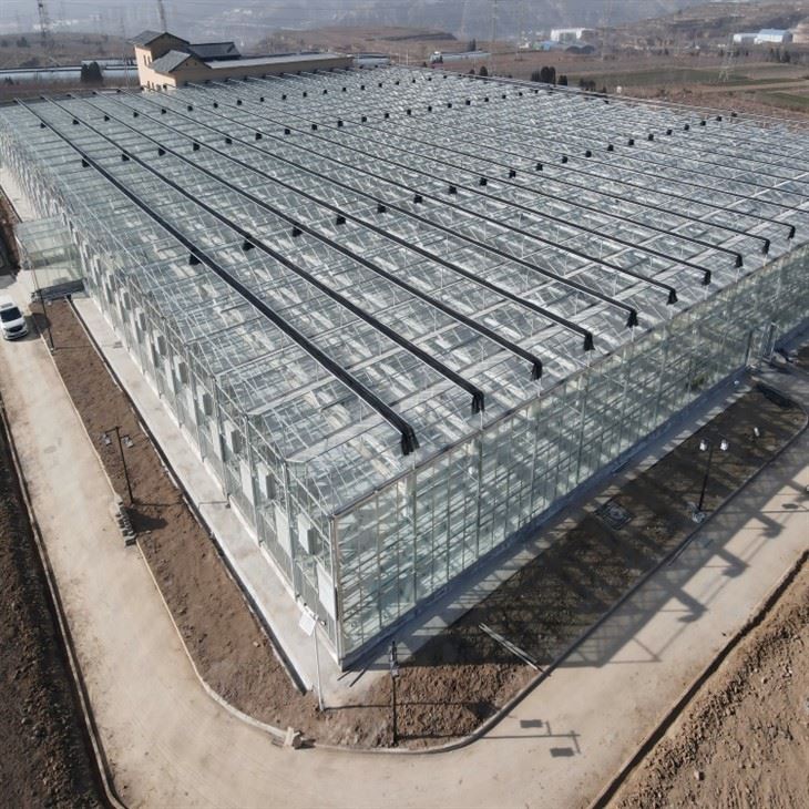 Venlo Style Greenhouse factory